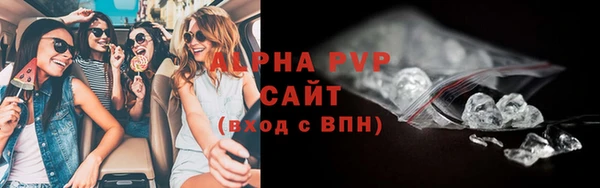 прущие грибы Абдулино