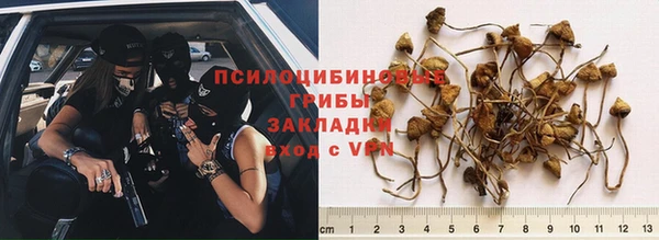не бодяженный Абинск