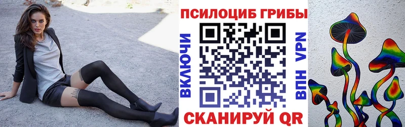 Галлюциногенные грибы Cubensis  Новоалтайск 